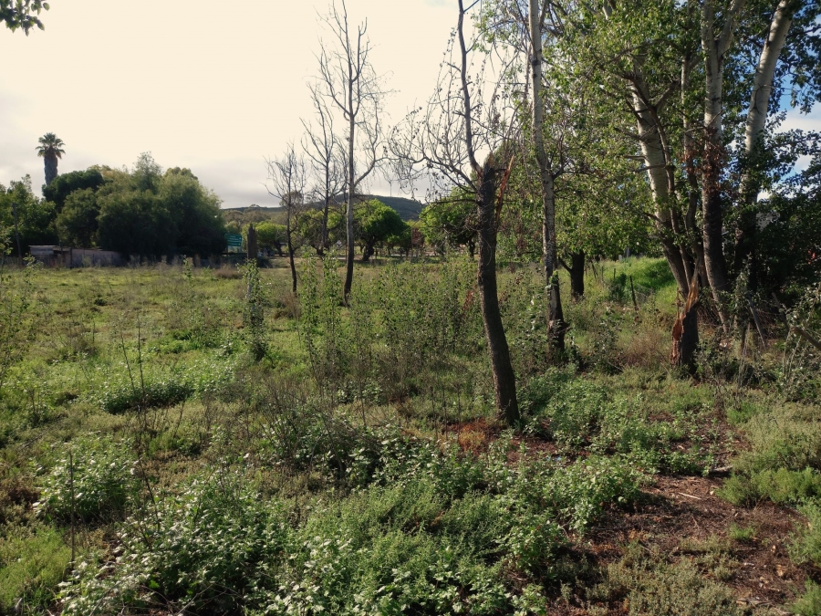 0 Bedroom Property for Sale in Uniondale Western Cape